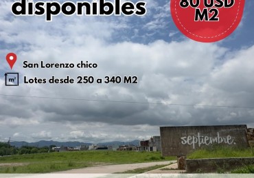 Lotes disponibles en San Lorenzo chico